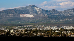 L'UE "rejette" le statut d'observateur de Chypre-Nord dans une organisation turcique