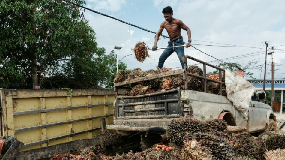 Relief in Brazil, Asia over delay to EU deforestation rules