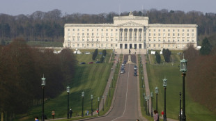 UK govt says will call N.Irish elections 'within 12 weeks' 