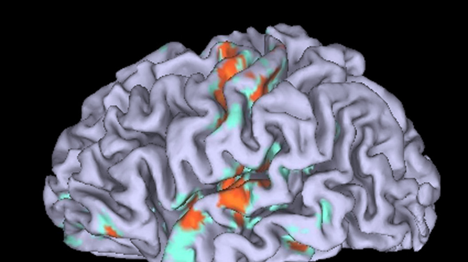 La gravidanza modifica il cervello, è una metamorfosi