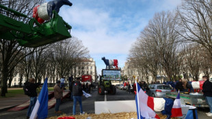 Les syndicats d'agriculteurs menacent de nouvelles actions