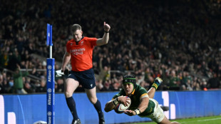 Rugby: l'Angleterre valeureuse mais battue par l'Afrique du Sud