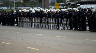 Saccages à Brasilia: les failles de sécurité en question