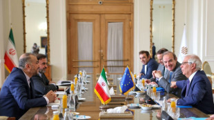 Iran nuclear talks to resume in days: EU's Borrell