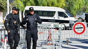 Tunisia swears in new defanged parliament