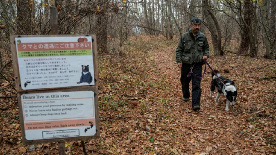 Dogs, antennas and honey for Japan's big bear problem