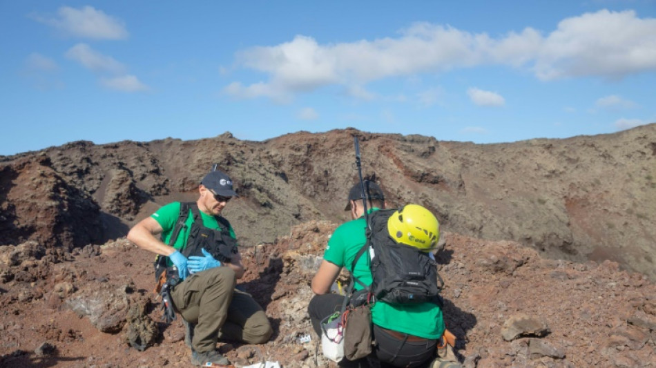 "Comme sur la Lune": des astronautes s'entraînent sur un volcan des Canaries