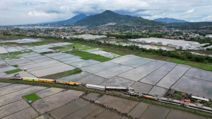 Tres muertos y 28 heridos por una colisión de trenes en Indonesia