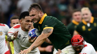 Estehuizen promises no let-up from Springboks