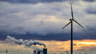 Electricité: la production renouvelable devrait dépasser le charbon en 2025, selon l'AIE