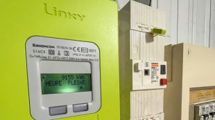 Les tarifs réglementés de l'électricité augmentent de 10% au 1er août, "honteux" crie l'opposition 