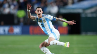 Argentina's Di Maria extends Benfica deal through 2025