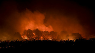 Le Portugal peine à venir à bout du feu dans un parc naturel