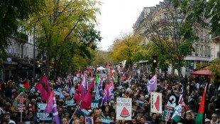 Des milliers de manifestants en France pour un "cessez-le-feu" à Gaza