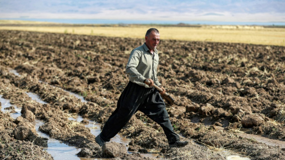 Au Kurdistan d'Irak, le lac Dukan a soif et les agriculteurs transpirent