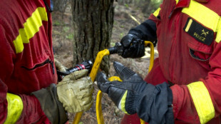 Un nuevo incendio forestal en España provoca la evacuación de 700 personas