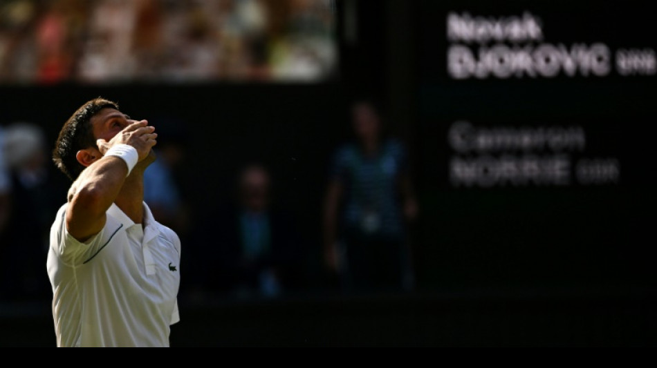 Djokovic vows 'fireworks' in Wimbledon final against Kyrgios