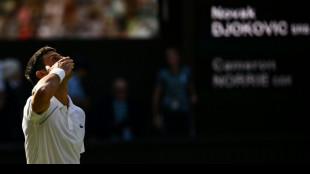 Djokovic vows 'fireworks' in Wimbledon final against Kyrgios