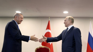 'Balancing act': Erdogan to sound out Putin on Ukraine and Syria