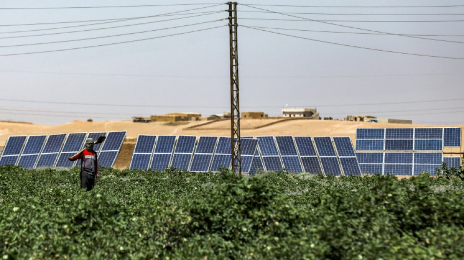 Dans l'ancien grenier à blé de la Syrie, le solaire a sauvé les agriculteurs