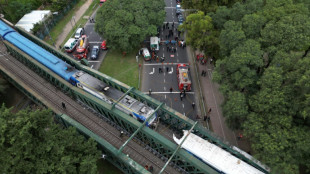 Argentine: collision entre deux trains, une trentaine de blessés dont deux graves