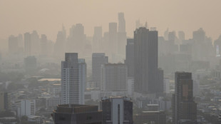 La pollution de l'air tue encore 1.200 enfants et adolescents par an en Europe