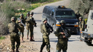 Israeli civilian kills Palestinian at West Bank farm: army