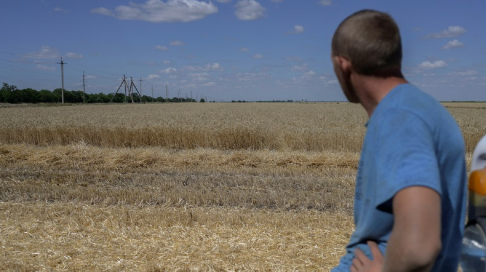 Ukraine farmers pray deal can free trapped grain