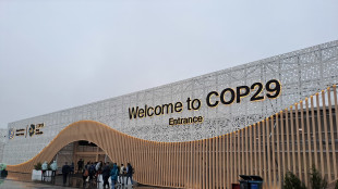 Pichetto, la Cop29 è una tappa di un processo irreversibile