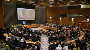 Sous pression américaine, l'ONU expulse l'Iran d'une commission sur les femmes