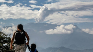 Presidente de Colombia pide evacuar unas 7.500 personas ante amenaza volcánica