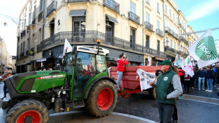 'Agriculture is dying': French farmers protest EU-Mercosur deal