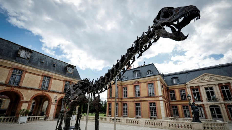 Dinosaur skeleton fetches 6 million euros in Paris sale