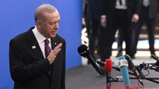 Erdogan, 'interverremo se sarà minata l'unità della Siria'