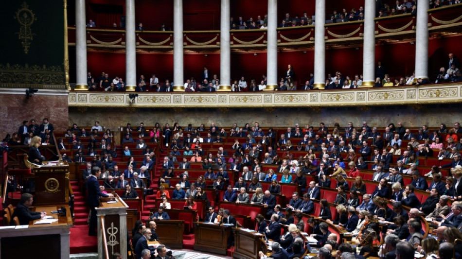 Ingérences étrangères: l'Assemblée s'empare d'un texte électrique en pleine campagne européenne