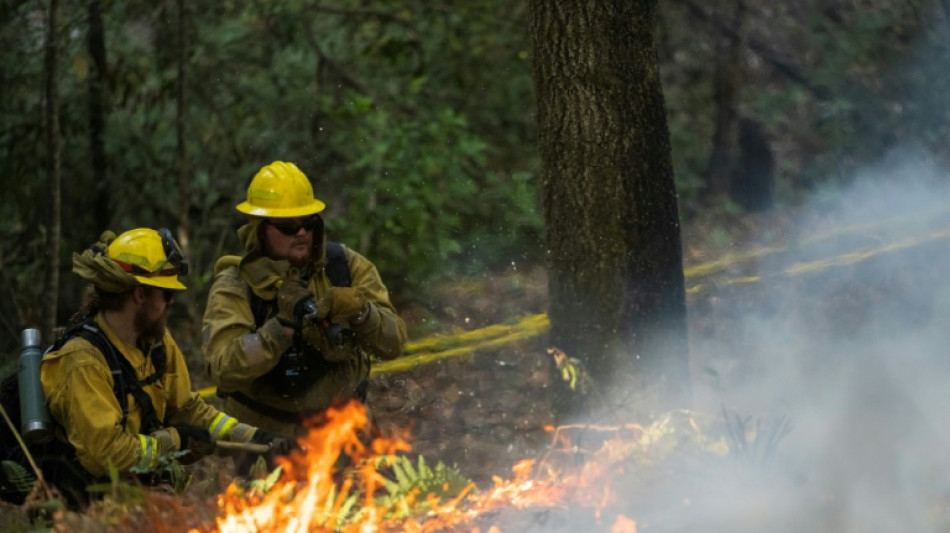 Fight fire with fire: controlled burns stem California blazes