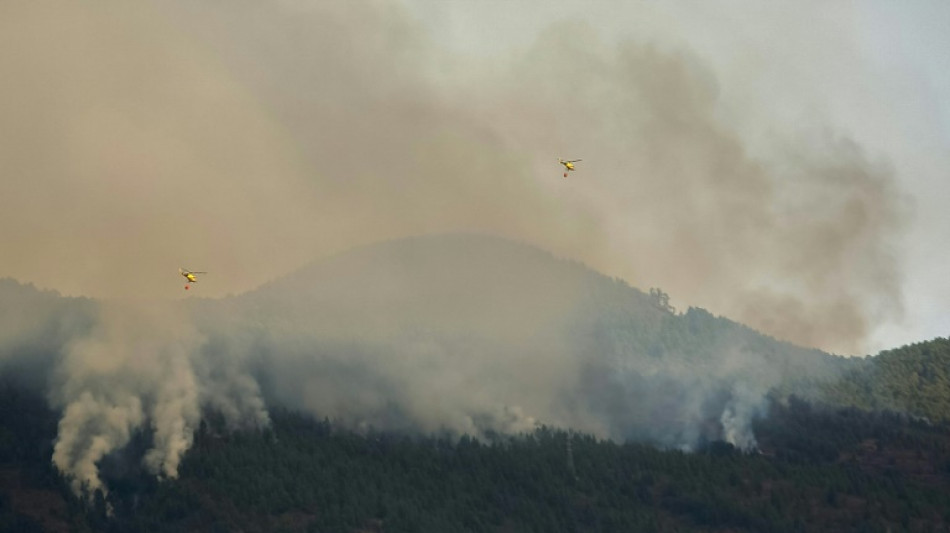 Evolución "favorable" del incendio en isla española de Tenerife