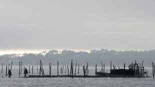 Intoxications: les huîtres du Bassin d'Arcachon interdites à l'approche du Nouvel An