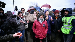 "Stop A69!": Greta Thunberg en soutien aux opposants à un projet d'autoroute