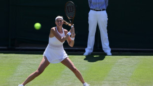La dos veces campeona de Wimbledon Petra Kvitova da a luz a su primer hijo