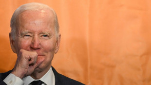 Biden to address Irish parliament on 'homecoming' visit