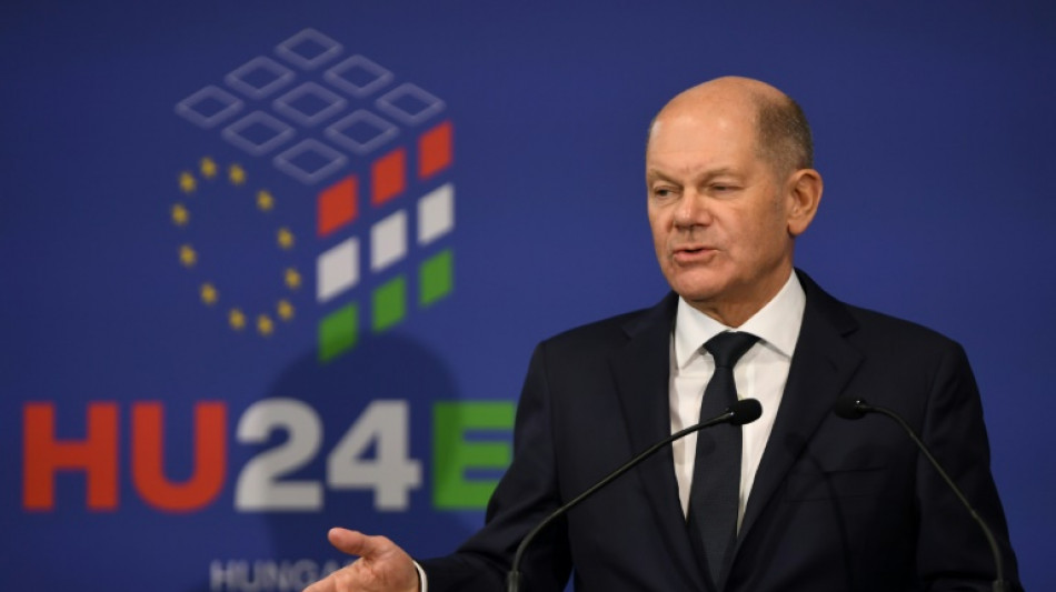 Scholz zu Gesprächen über Termin für Neuwahl bereit