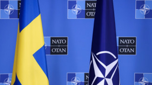 Long NATO delay spells trouble for Sweden and alliance: experts