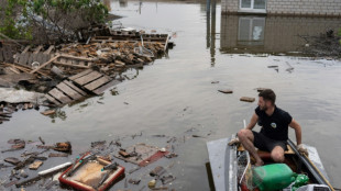 Ukraine dam destruction takes heavy environmental toll: NGOs