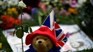 Les ours Paddington déposés en hommage à Elizabeth II donnés à une association caritative