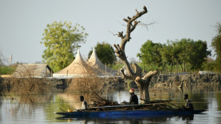 Nearly 1 in 4 South Sudanese affected by recurring floods: report