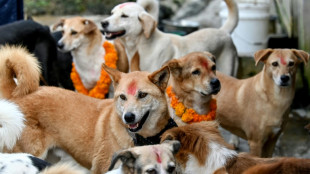 Nepal's day of the dog as part of Hindu celebrations