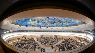 UN rights council votes to strenthen monitoring of abuses in Sudan