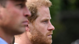 L'interview télé du prince Harry diffusée en France par TF1