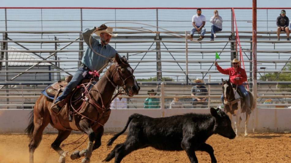 At gay rodeo in Texas, riders gallop on despite rights row 